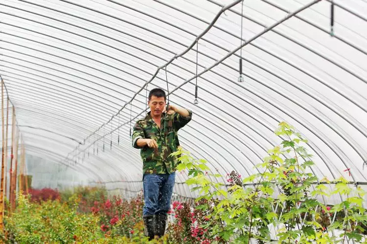 15573622923872.jpg 1.jpg